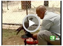 KCRA Feature Story
